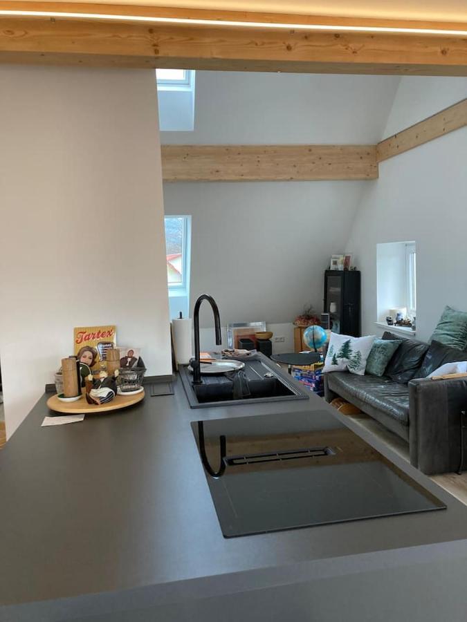 Neues Penthouse-Loft Mit Konuskarte Fuer Gratis Oepnv Apartment Ehrenkirchen Exterior photo